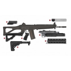 Sig 551 cal 223 rem avec dioptre