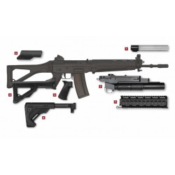 Sig 551 cal 223 rem sans dioptre