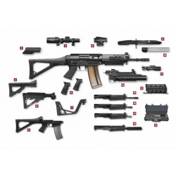 Sig 553 cal 223 rem avec dioptre