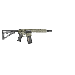 Carabine RADIAN model 1...