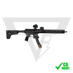 Carabine Taran Tactical TTI...