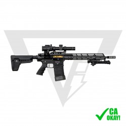Carabine Taran Tactical TTI...