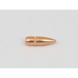 Ogives Cam Pro 223 55gr FMJ...