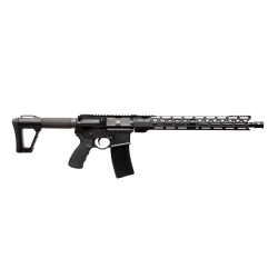 Carabine AR15 Double Star...