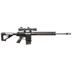 Carabine AR10 Double Star...