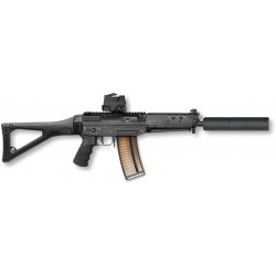 Sig 553 cal 223 rem sans dioptre