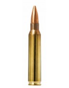 223 Remington